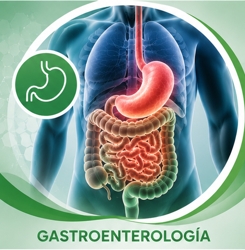 gastroenterologia_250 Gastroenterologia